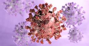 Novas subvariantes inéditas da Ômicron são detectadas no Brasil