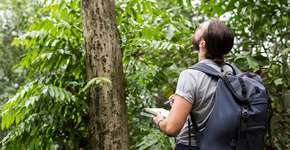 Foto: (Imagem ilustrativa: rawpixel.com/Freepik)