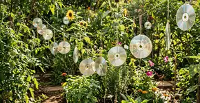 Foto: (Imagem sem texto alternativo disponivel ID [2769691])