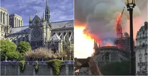 Foto: (Marcus Lindstrom / iStock e Reprodução / Instagram / noemieifrah)