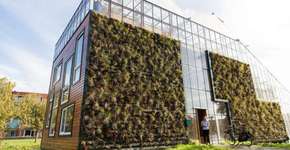 Família vive em casa-estufa e cultiva seus alimentos