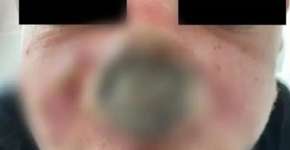 Foto: (divulgação/SpringerLink)