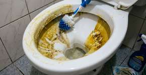 Como lavar manchas amarelas de vaso sanitário: é só despejar isso e deixar branco como novo