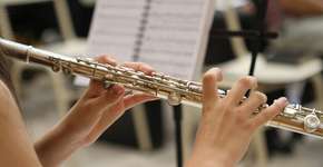 Foto: (Foto: Imagem de Brenda Geisse por Pixabay)