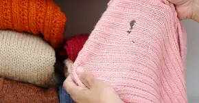 Como espantar traças das roupas e da casa de forma eficiente, segundo a ciência