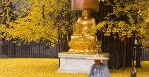 Foto: (Imagem sem texto alternativo disponivel ID [1869380])