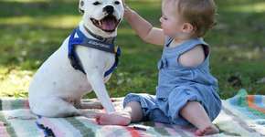 Menina que nasceu sem o braço ganha cachorro com três patas para enfrentar preconceito