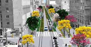 Foto: (Imagem sem texto alternativo disponivel ID [607361])