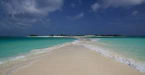 Foto: (Imagem sem texto alternativo disponivel ID [1867934])