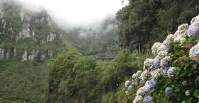 Foto: (Imagem sem texto alternativo disponivel ID [1866840])