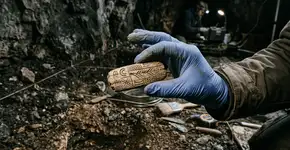 Foto: (Imagem sem texto alternativo disponivel ID [2757323])