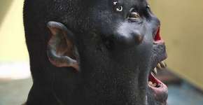 Tatuador mutila o nariz e a língua e choca com transformação