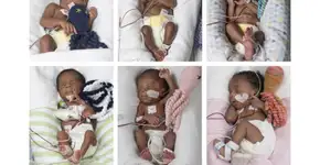 Inspiração: ela pariu sêxtuplos após 17 anos tentando engravidar