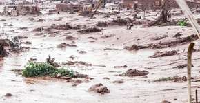 Foto: (Imagem sem texto alternativo disponivel ID [993097])