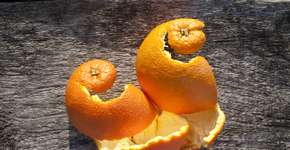 Cascas de laranja surpreendem a ciência e entram na lista de superalimentos
