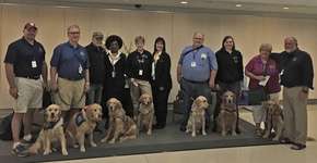 Cães são levados para confortar familiares e feridos no massacre de Orlando