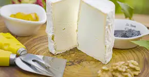 Feira Gosto SA – Sabor Artesanal