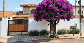 Foto: (Imagem sem texto alternativo disponivel ID [2741080])