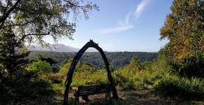 Foto: (André Araújo)