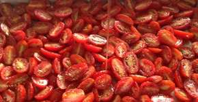 Foto: (Imagem sem texto alternativo disponivel ID [1865314])