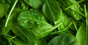 Foto: (Getty Images)