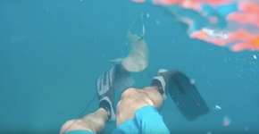 Foto: (Imagem sem texto alternativo disponivel ID [1448644])