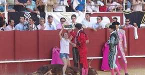 Foto: (Imagem sem texto alternativo disponivel ID [933056])