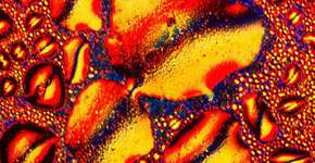 Foto: (Imagem sem texto alternativo disponivel ID [271048])