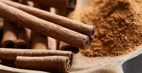 Foto: (iSTock/Marko Jan)