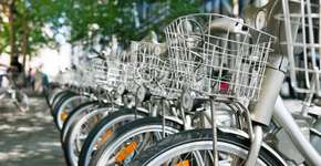 Foto: (Imagem sem texto alternativo disponivel ID [913770])