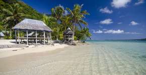 Foto: (Martin Vlnas/iStock)