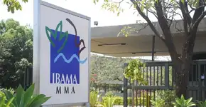 Governo autoriza 810 vagas em concursos para Ibama e ICMBio