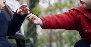 Infográfico traz startups mais quentes da economia compartilhada