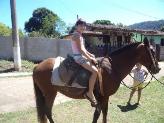 As únicas três fotos encontradas por Quintão após a lama