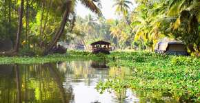 Foto: (Divulgação/Alleppey Tourism)
