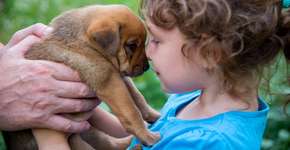 Dezembro Verde: 5 cuidados que você deve ter ao adotar um pet