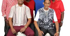 Flor de Vila Dalila recebe Fundo de Quintal em sua quadra