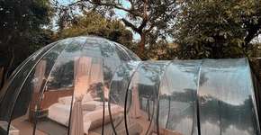 Foto: (Divulgação)