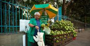 Foto: (Imagem sem texto alternativo disponivel ID [983002])