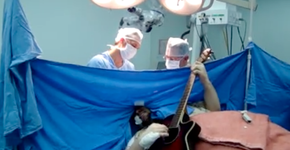 Foto: (Imagem sem texto alternativo disponivel ID [1894993])