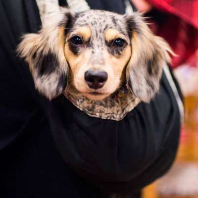 Hoje, a página já reúne mais de 1,5 milhão de seguidores no Instagram e também tem páginas no Facebook e Twitter