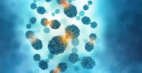 Fruta que ajuda a prevenir infecção urinária e alguns tipos de câncer