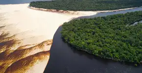 Foto: (Ivo Brasil/Pexeles)