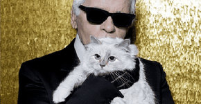 Gata de Lagerfeld pode ficar milionária após morte do estilista