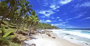 Foto: (Camila1111/iStock)