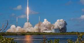 Foto: (Divulgação)