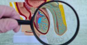 Foto: (iStock/Nadzeya Haroshka)