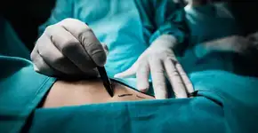 Foto: (Imagem sem texto alternativo disponivel ID [1639096])