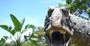 Triângulo Mineiro: reúne cultura e diversão para a família