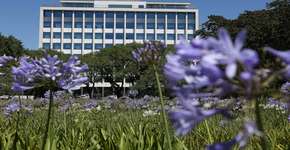 Foto: (Marcos Santos/USP imagens)